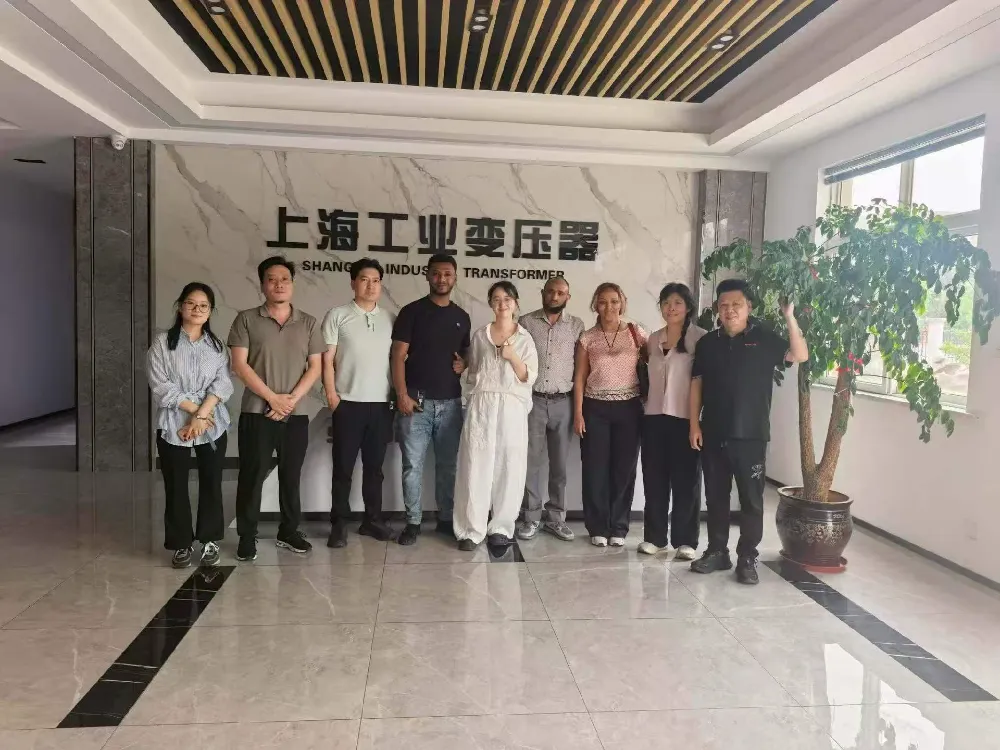 Vřelé vítejte! Etiopská delegace navštívila Shanghai Industrial Transformer Co., Ltd. za účelem výměny transformátorů a zařízení pro distribuci energie