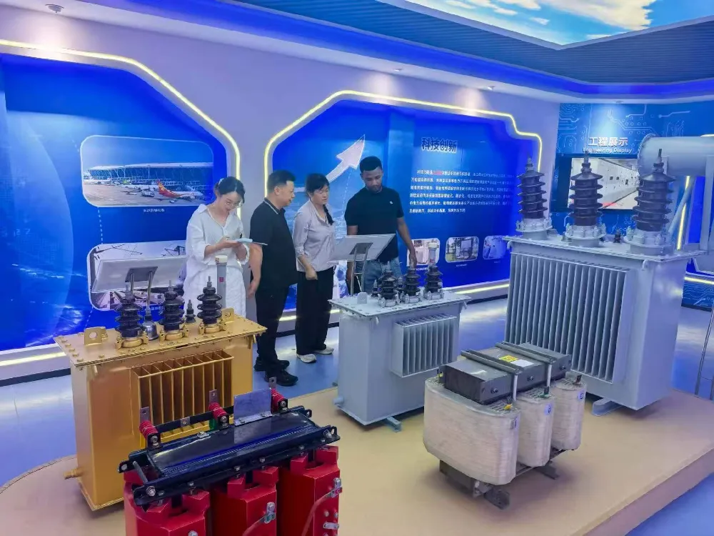 Oil Immersed Transformers